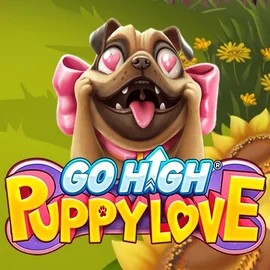 Go High Puppy Love online game logo by RubyPlay on fuguscasino.net